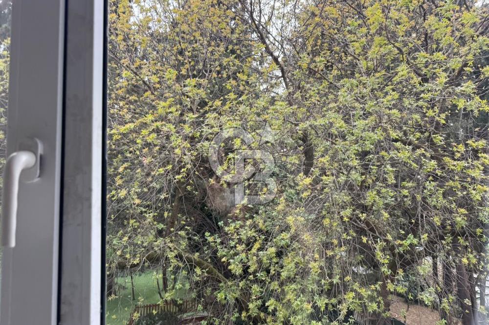 Fenerbahçe'de, Mükemmel Konumda 2+1