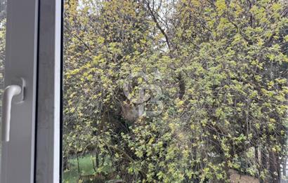 Fenerbahçe'de, Mükemmel Konumda 2+1