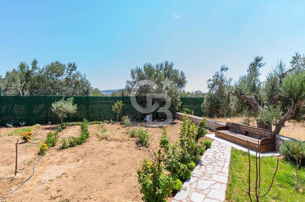 ÇANAKKALE EZİNE DE SATILIKMÜSTAKİL 574 M2 ARSA İÇİNDE TAŞ EV