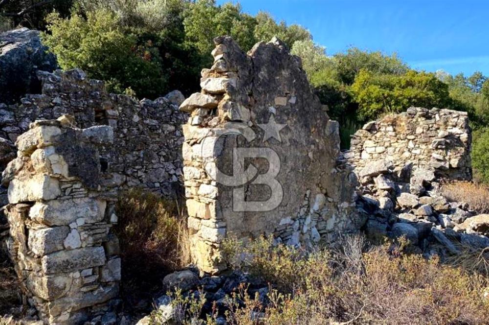 Karaburun Mordoğan Satılık Zeytinli Tarla