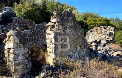Karaburun Mordoğan Satılık Zeytinli Tarla