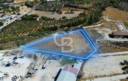 Urla Merkez de Satılık 6566m2 Arazi 