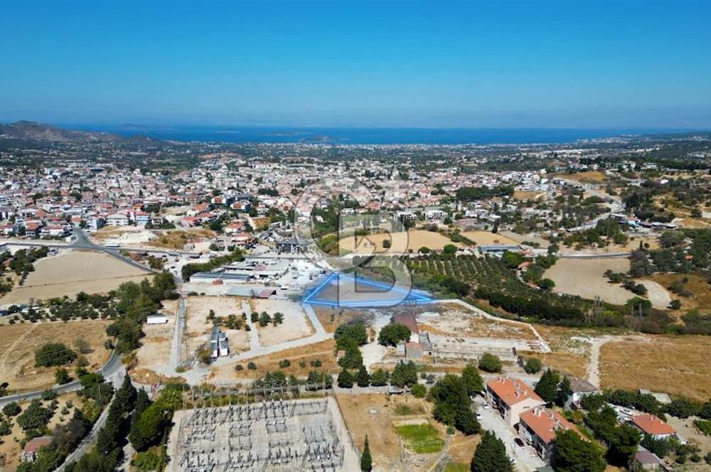 Urla Merkez de Satılık 6566m2 Arazi 