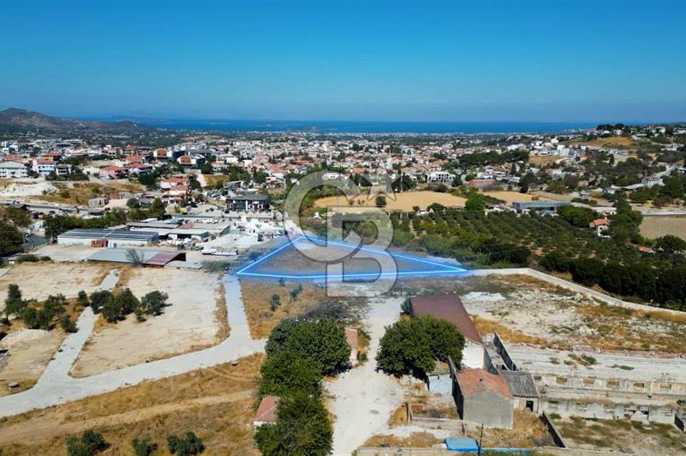Urla Merkez de Satılık 6566m2 Arazi 