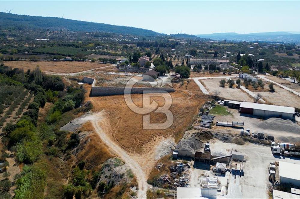 Urla Merkez de Satılık 6566m2 Arazi 