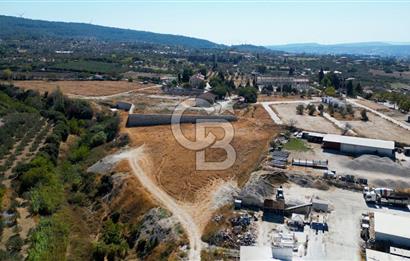 Urla Merkez de Satılık 6566m2 Arazi 