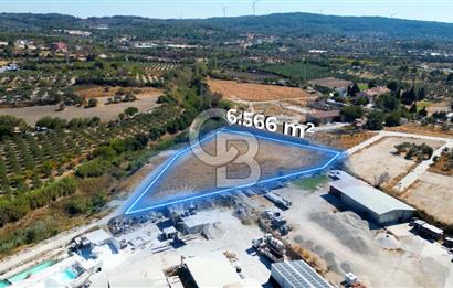 Urla Merkez de Satılık 6566m2 Arazi 