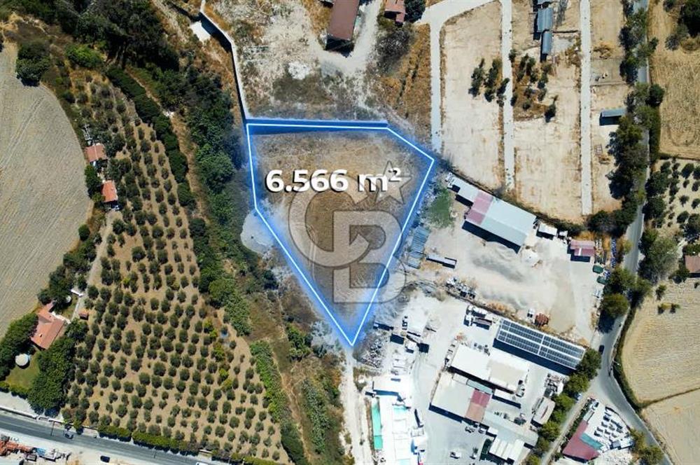 Urla Merkez de Satılık 6566m2 Arazi 