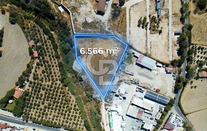 Urla Merkez de Satılık 6566m2 Arazi 