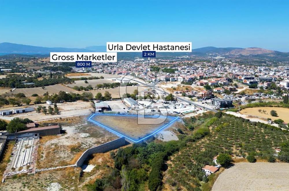 Urla Merkez de Satılık 6566m2 Arazi 