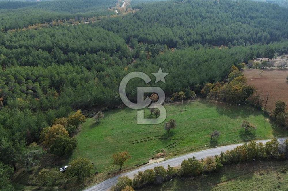 Çanakkale Salihler Köyü Satılık 6219 M² Satılık Tarla !