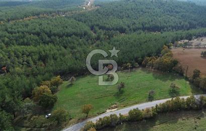 Çanakkale Salihler Köyü Satılık 6219 M² Satılık Tarla !