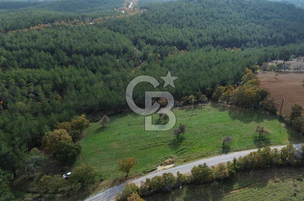 Çanakkale Salihler Köyü Satılık 6219 M² Satılık Tarla !