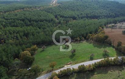 Çanakkale Salihler Köyü Satılık 6219 M² Satılık Tarla !