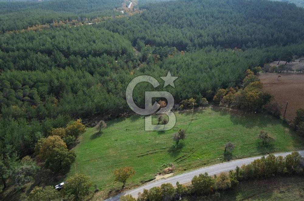 Çanakkale Salihler Köyü Satılık 6219 M² Satılık Tarla !