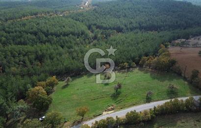 Çanakkale Salihler Köyü Satılık 6219 M² Satılık Tarla !