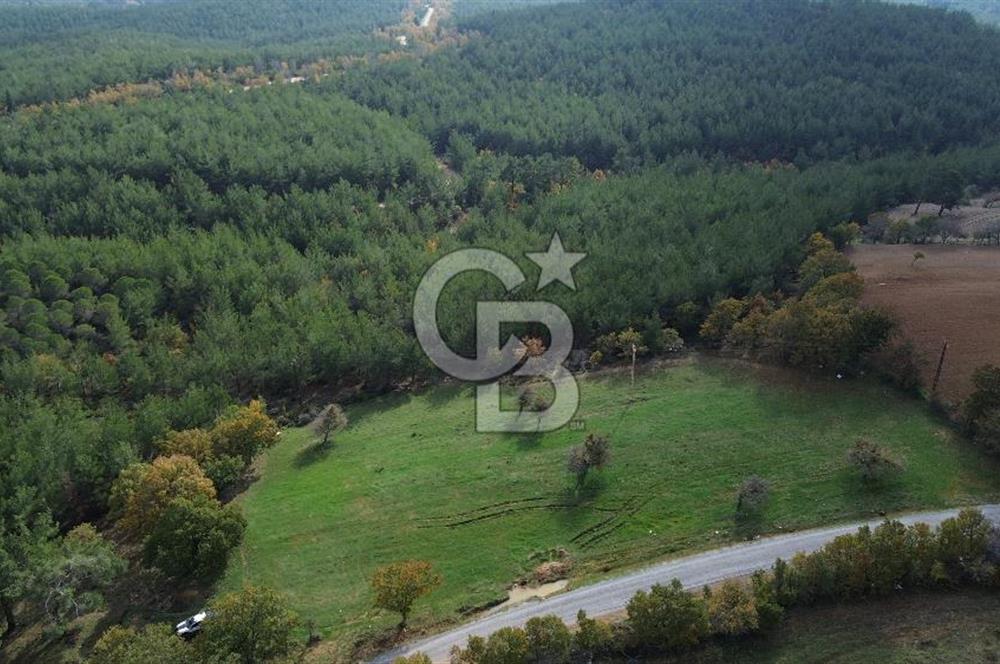 Çanakkale Salihler Köyü Satılık 6219 M² Satılık Tarla !