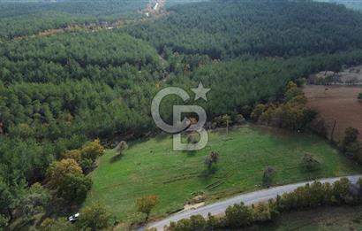 Çanakkale Salihler Köyü Satılık 6219 M² Satılık Tarla !