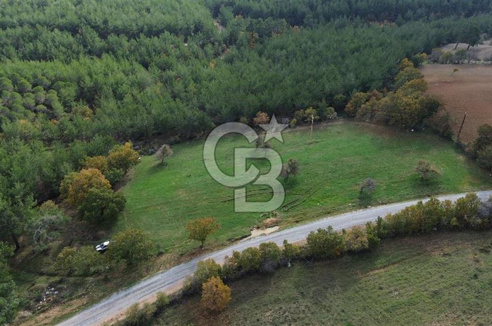 Çanakkale Salihler Köyü Satılık 6219 M² Satılık Tarla !