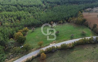 Çanakkale Salihler Köyü Satılık 6219 M² Satılık Tarla !