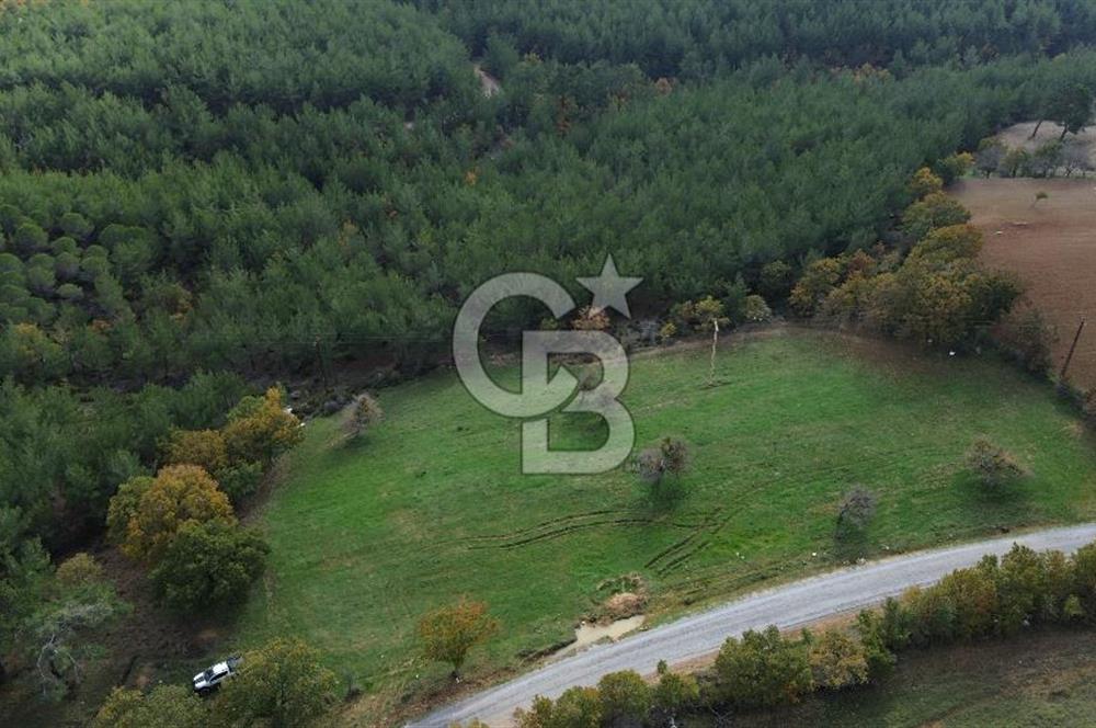 Çanakkale Salihler Köyü Satılık 6219 M² Satılık Tarla !