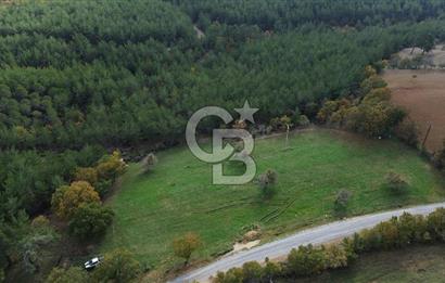 Çanakkale Salihler Köyü Satılık 6219 M² Satılık Tarla !