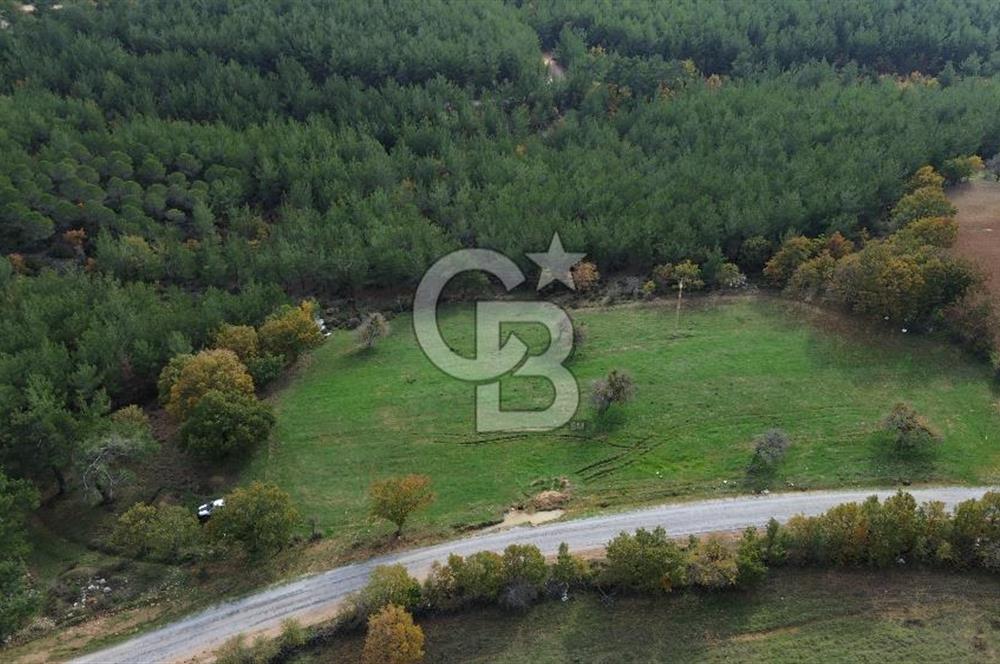 Çanakkale Salihler Köyü Satılık 6219 M² Satılık Tarla !