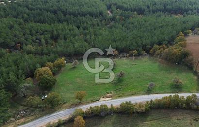 Çanakkale Salihler Köyü Satılık 6219 M² Satılık Tarla !