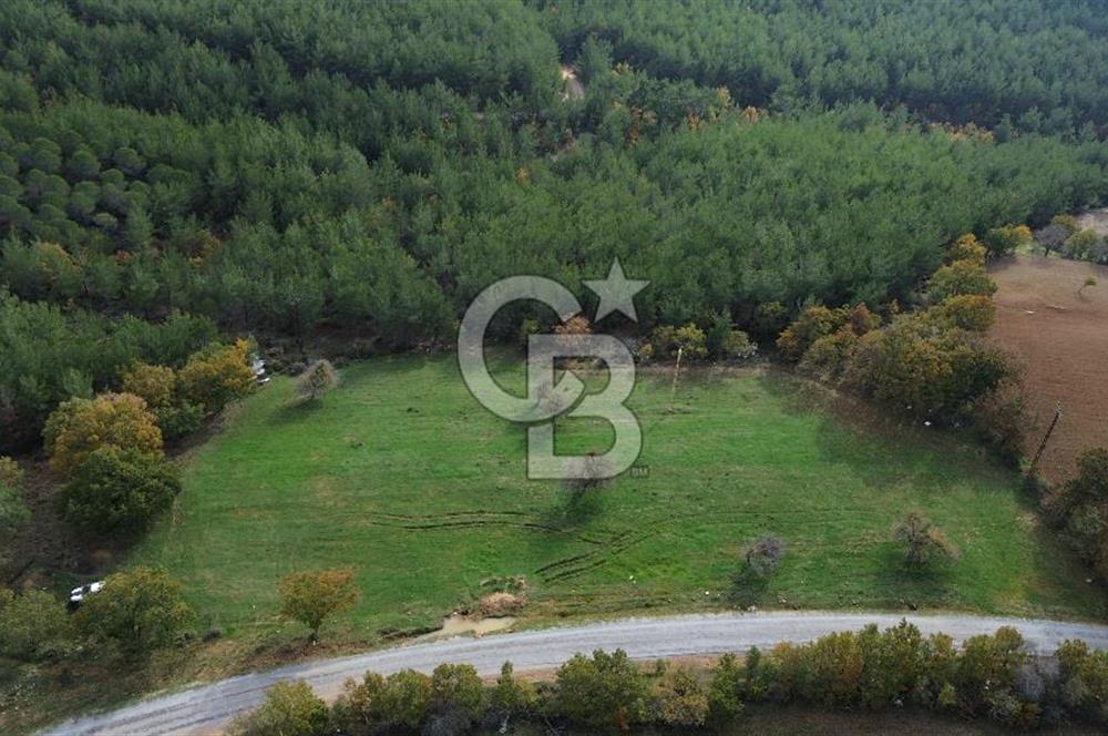 Çanakkale Salihler Köyü Satılık 6219 M² Satılık Tarla !