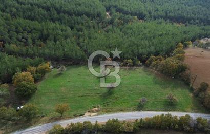 Çanakkale Salihler Köyü Satılık 6219 M² Satılık Tarla !