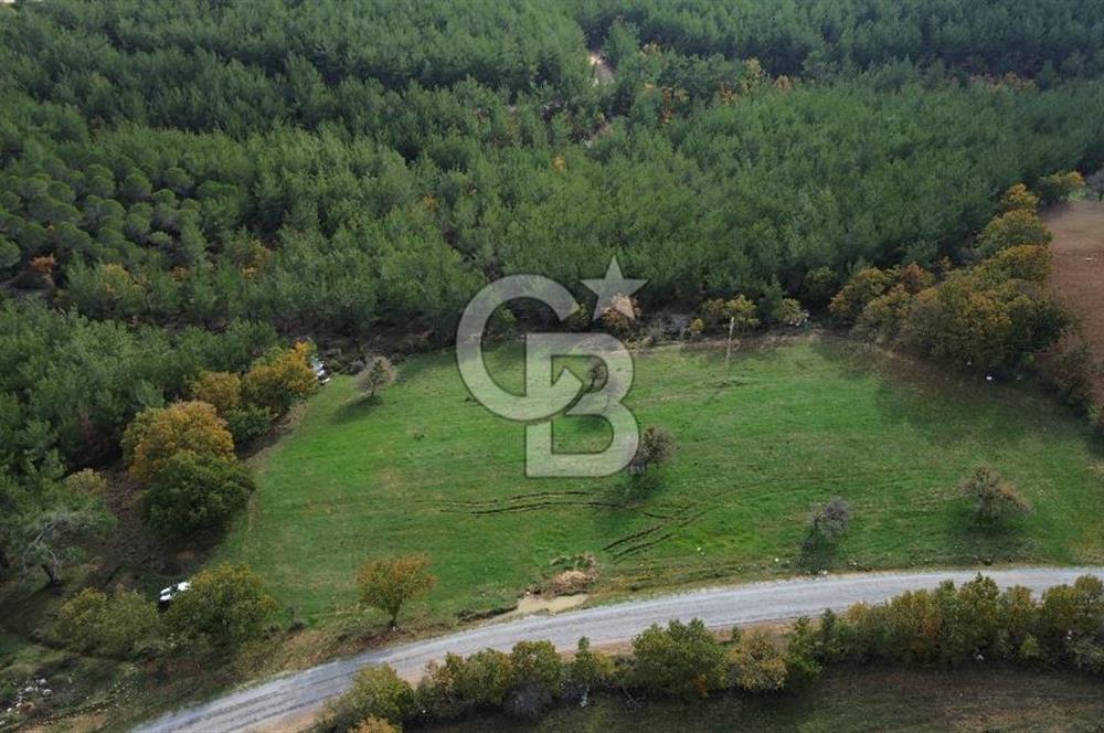 Çanakkale Salihler Köyü Satılık 6219 M² Satılık Tarla !