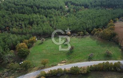 Çanakkale Salihler Köyü Satılık 6219 M² Satılık Tarla !