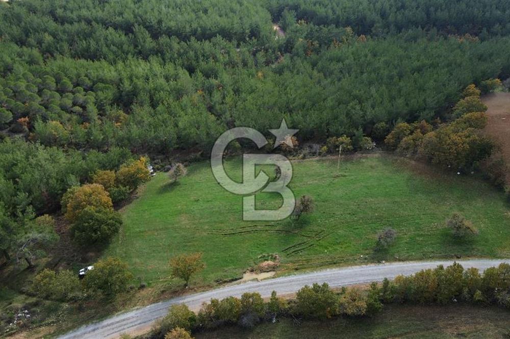 Çanakkale Salihler Köyü Satılık 6219 M² Satılık Tarla !