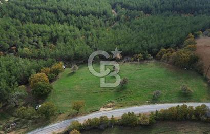 Çanakkale Salihler Köyü Satılık 6219 M² Satılık Tarla !