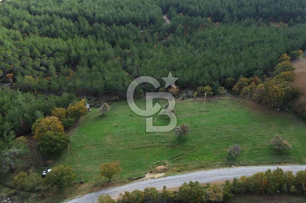 Çanakkale Salihler Köyü Satılık 6219 M² Satılık Tarla !