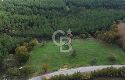 Çanakkale Salihler Köyü Satılık 6219 M² Satılık Tarla !