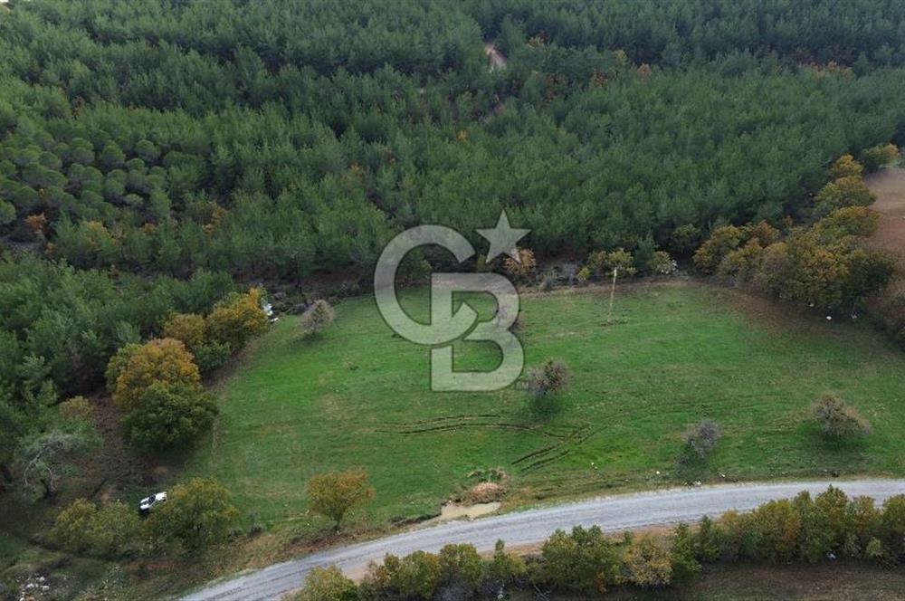 Çanakkale Salihler Köyü Satılık 6219 M² Satılık Tarla !