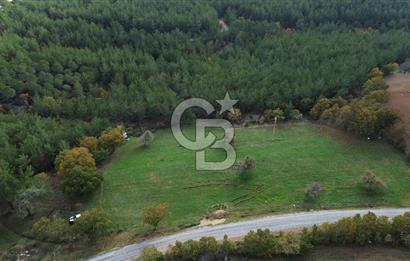 Çanakkale Salihler Köyü Satılık 6219 M² Satılık Tarla !