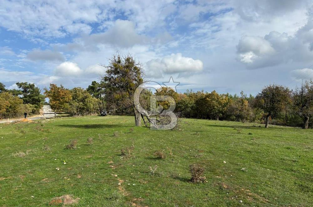 Çanakkale Salihler Köyü Satılık 6219 M² Satılık Tarla !