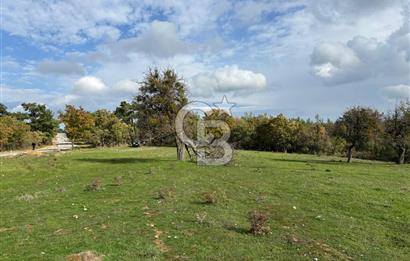 Çanakkale Salihler Köyü Satılık 6219 M² Satılık Tarla !