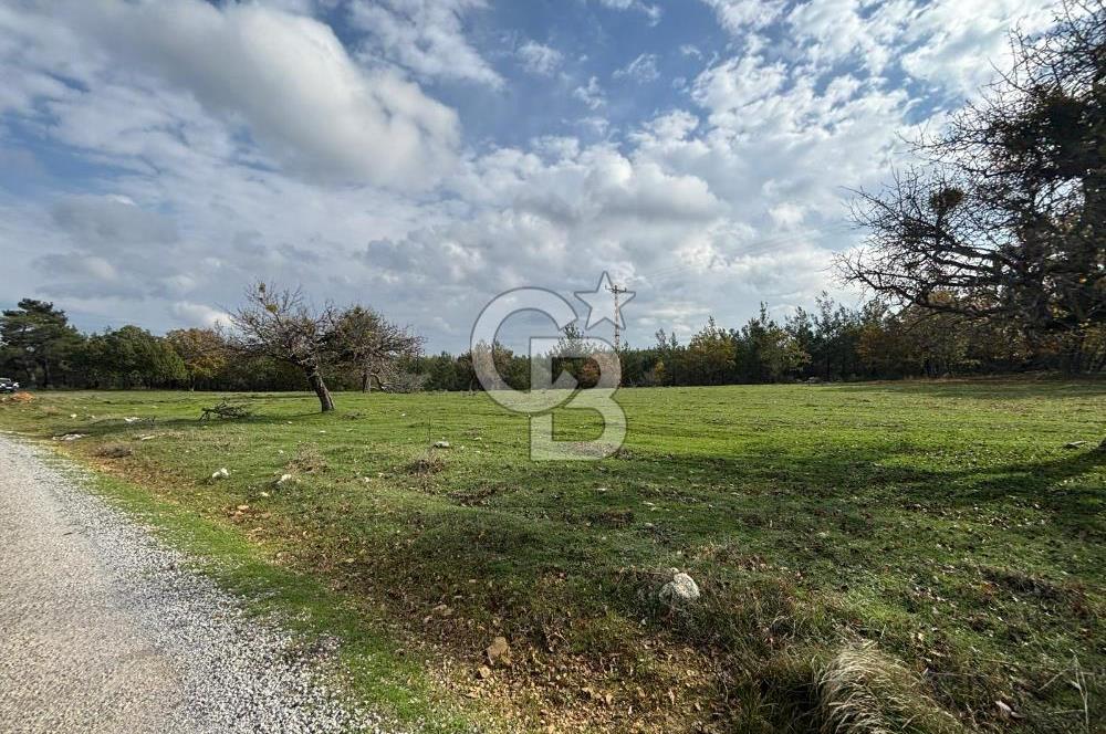 Çanakkale Salihler Köyü Satılık 6219 M² Satılık Tarla !