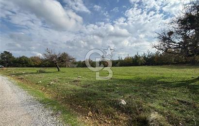 Çanakkale Salihler Köyü Satılık 6219 M² Satılık Tarla !