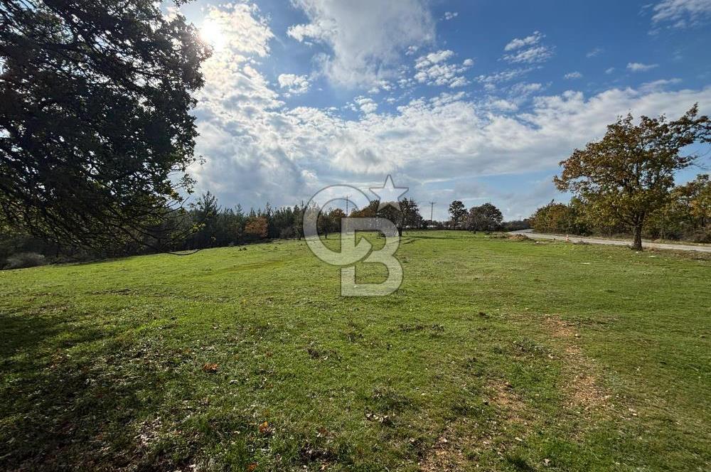 Çanakkale Salihler Köyü Satılık 6219 M² Satılık Tarla !