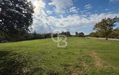 Çanakkale Salihler Köyü Satılık 6219 M² Satılık Tarla !