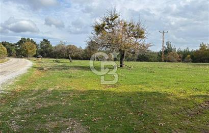 Çanakkale Salihler Köyü Satılık 6219 M² Satılık Tarla !