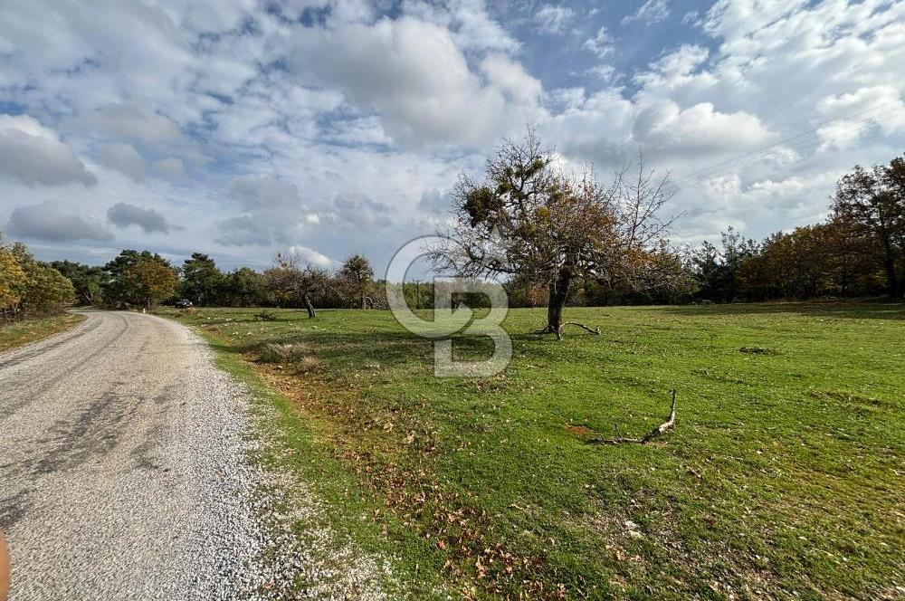 Çanakkale Salihler Köyü Satılık 6219 M² Satılık Tarla !