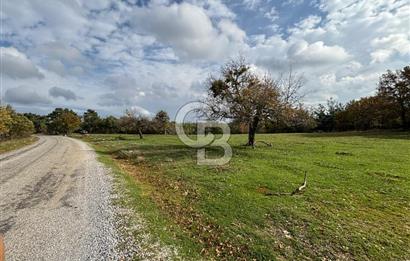 Çanakkale Salihler Köyü Satılık 6219 M² Satılık Tarla !