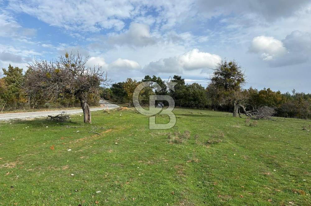 Çanakkale Salihler Köyü Satılık 6219 M² Satılık Tarla !