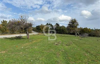 Çanakkale Salihler Köyü Satılık 6219 M² Satılık Tarla !