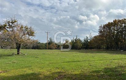 Çanakkale Salihler Köyü Satılık 6219 M² Satılık Tarla !